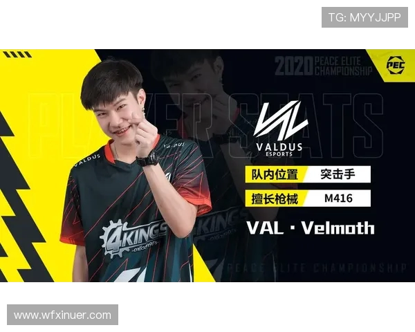 和平精英巨献：深入解析WE战队在耐力赛中的表现与策略